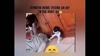 Tiktok cold moment complition part 1