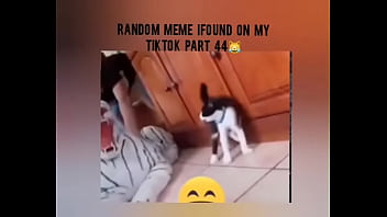 Tiktok cold moment complition part 1