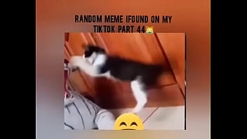 Tiktok cold moment complition part 1