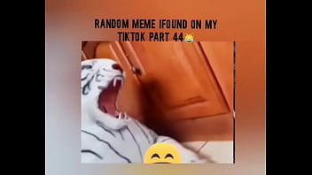 Tiktok cold moment complition part 1