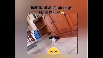 Tiktok cold moment complition part 1