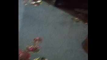 Toxica marcando territorio