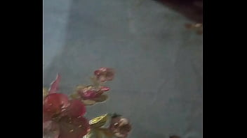 Toxica marcando territorio