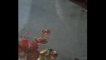 Toxica marcando territorio