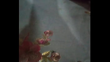 Toxica marcando territorio