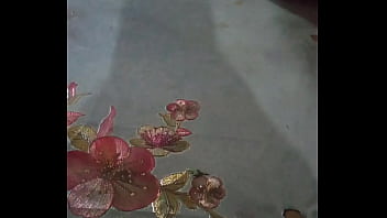 Toxica marcando territorio