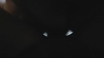 Com trinta e poucos brincadeiras em são paulo procura