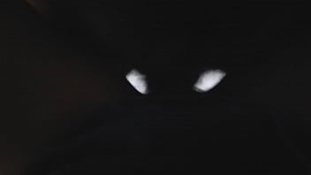 Com trinta e poucos brincadeiras em são paulo procura