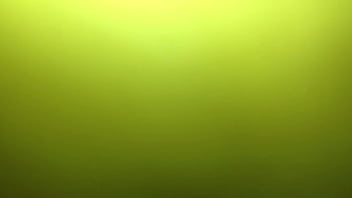 Link up 233275292088