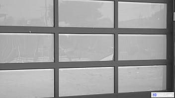 The case of the snitch's snatch