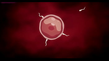 How to pay the debt by different way