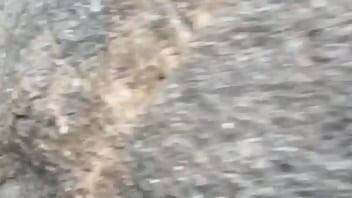 Convocados a comer a mulher do corno manso