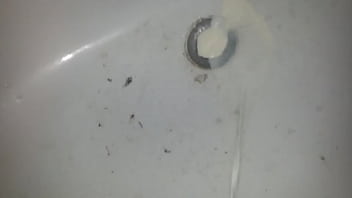 Kuh milch aus meinem beschnittenen penis pissen