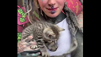 This cute little kitty makes me smile what always brings a smile to your face #kittycuddles #smile #catlove #psyl