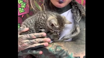 This cute little kitty makes me smile what always brings a smile to your face #kittycuddles #smile #catlove #psyl