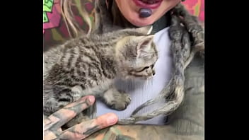 This cute little kitty makes me smile what always brings a smile to your face #kittycuddles #smile #catlove #psyl