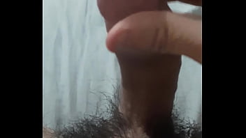 Vem fazer carinho no pinto