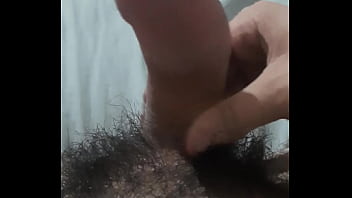 Vem fazer carinho no pinto