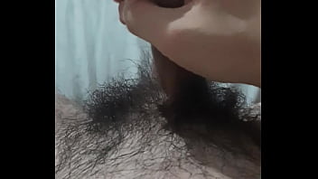 Vem fazer carinho no pinto