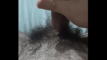 Vem fazer carinho no pinto