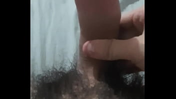 Vem fazer carinho no pinto