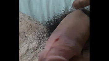 Vem fazer carinho no pinto