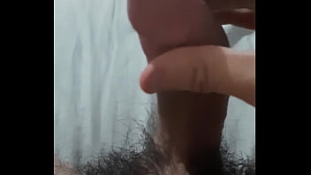 Vem fazer carinho no pinto