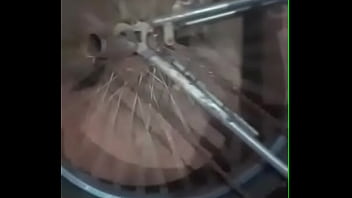 Monarkão balançando gostoso a roda