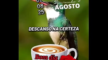 Vídeo de verificação