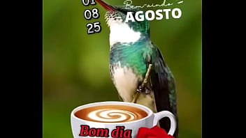 Vídeo de verificação