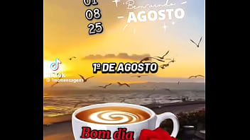 Vídeo de verificação