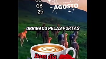 Vídeo de verificação