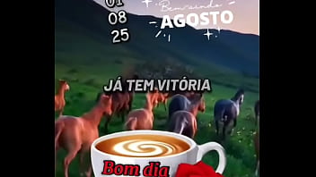 Vídeo de verificação