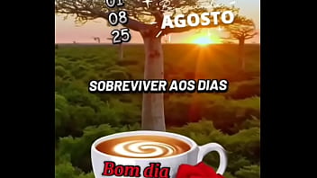 Vídeo de verificação