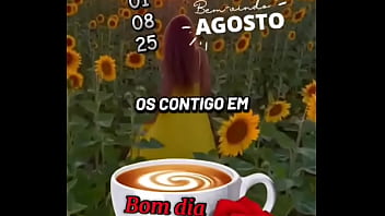 Vídeo de verificação