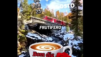 Vídeo de verificação