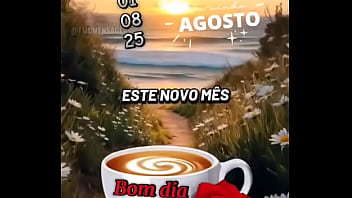 Vídeo de verificação