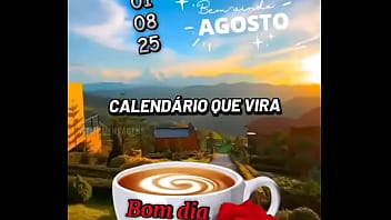 Vídeo de verificação