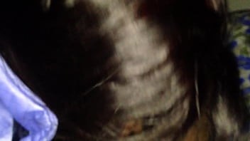 My girlfriend suck my cock dick