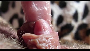 Big clit Big clit