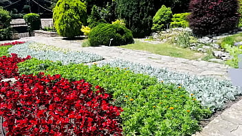 Visiting a castle in beatiful sea promenade town holiday vlog