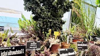 Visiting a castle in beatiful sea promenade town holiday vlog