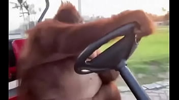 Fodendo com puta dentro do saveiro