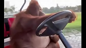 Fodendo com puta dentro do saveiro