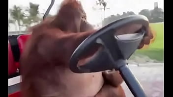 Fodendo com puta dentro do saveiro