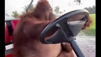 Fodendo com puta dentro do saveiro