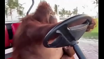 Fodendo com puta dentro do saveiro