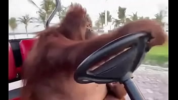 Fodendo Com Puta Dentro Do Saveiro thumbnail