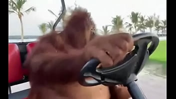 Fodendo com puta dentro do saveiro