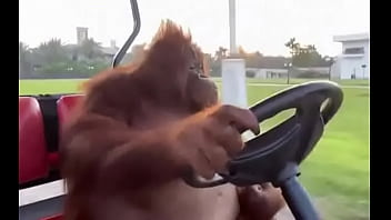 Fodendo com puta dentro do saveiro